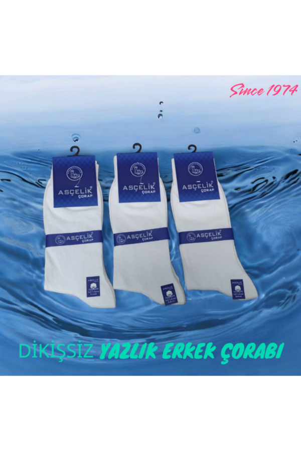 3 lü Dikişsiz Yazlık Erkek Çorap Beyaz
